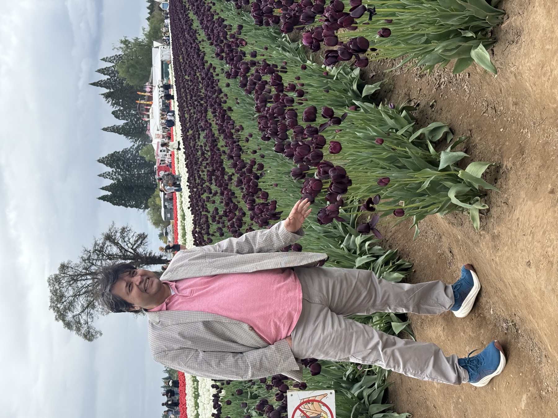 Dr. Hammad Qadir enjoying a field of tulips